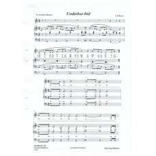 Underbar frid solo med kör / C.E Brown/E Waermö